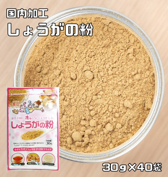 しょうがの粉 30g×40袋 こなやの底力 生姜 粉末タイプ ジンジャーパウダー 生姜粉 和菓子材料 製菓材料 国内加工 玉三 生姜パウダー