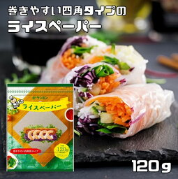 ライスペーパー 120g 四角いタイプ ケンミン （メール便）生春巻きの皮 健民 エスニック食材 ベトナム料理 お米の皮 グルテンフリー