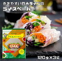 ライスペーパー 120g×3袋 四角いタイプ ケンミン 生春巻きの皮 健民 エスニック食材 ベトナム料理 お米の皮 グルテンフリー