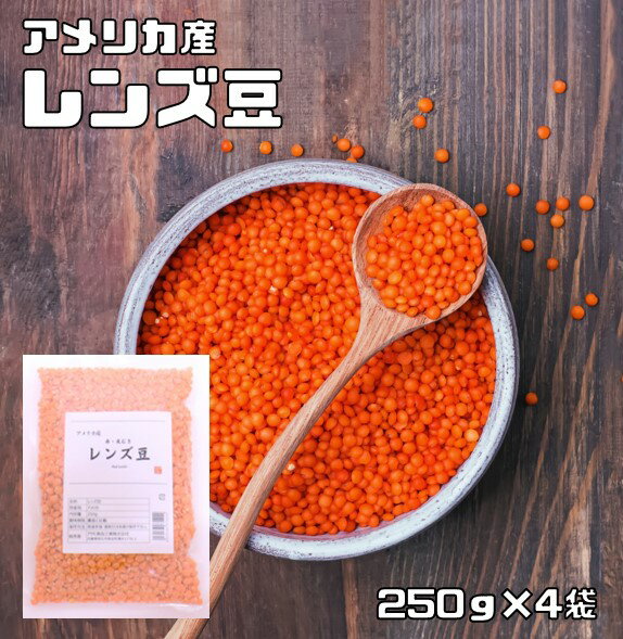 レンズ豆 皮むき 1kg 豆力 赤 アメリ