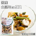 山菜ミックス水煮 100g×3袋 国産 国