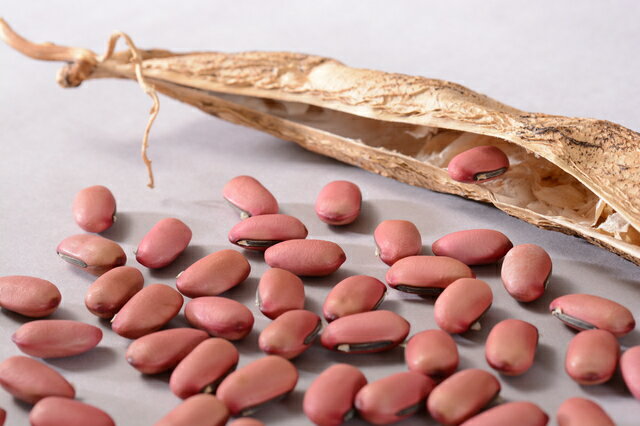 ���� ������å� �����ʱ��ܻ� 3��η��㤫��3�������� �ʤ�Ʀ�� �Ϥ����� ���ڤ����� ��� ���⻺ ��