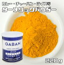 ターメリックパウダー 缶 220g GABAN 