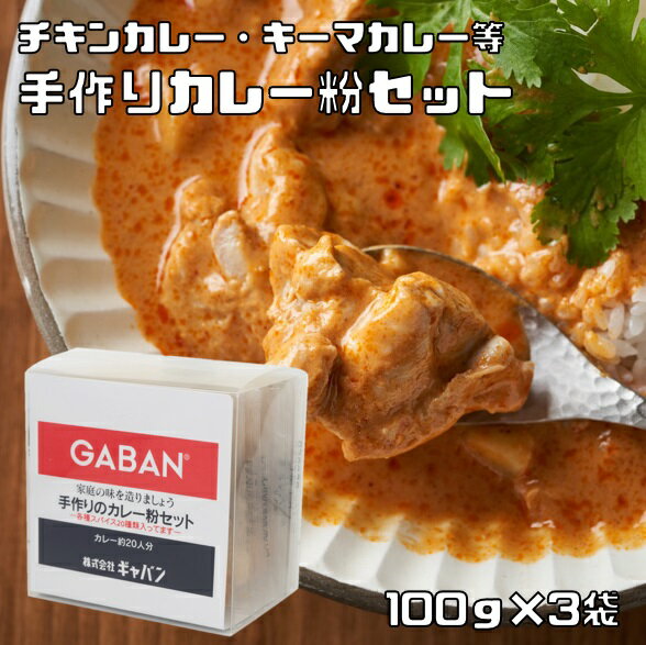 手作りカレー粉セット 100g×3袋 ギャバン 20種類のスパイス ハウス食品 香辛料 粉 業務用 カレールー GABAN ミックススパイス