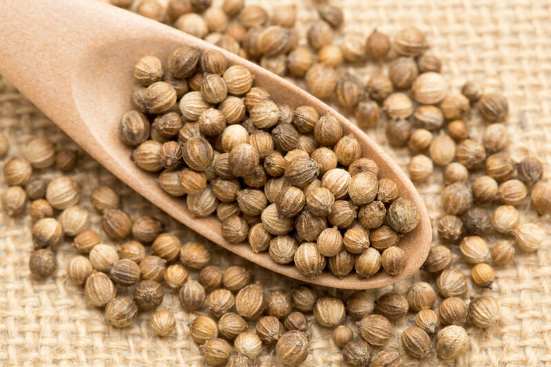 ���ꥢ����������� 100g��3�� GABAN ���ѥ��� ����� �ۡ��� γ ��̳�� Coriandre ������ɤ� ����Х� ���ʼ� �ϡ���