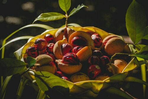 �ʥĥᥰ�ѥ����� �� 225g��12�� GABAN ���ѥ��� ����� �ѥ����� ��̳�� �ˤ����� ����Х� ʴ ʴ�� �ϡ��� Ĵ̣��