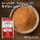 ケイジャンシーズニング 100g×3袋 GABAN （メール便）ミックススパイス 香辛料 パウダー 業務用 ギャバン 粉 粉末 ハーブ 調味料 gaban