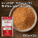 ケイジャンシーズニング 100g×3袋 GAB