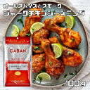 ジャークチキンシーズニング 100g GAB