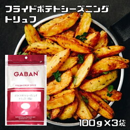 フライドポテトシーズニング トリュフ 100g×3袋 GABAN （メール便）ミックススパイス 香辛料 パウダー ギャバン スパイス 高品質