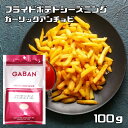 フライドポテトシーズニング ガーリックアンチョビ 100g GABAN （メール便）ミックススパイス 香辛料 パウダー ギャバン