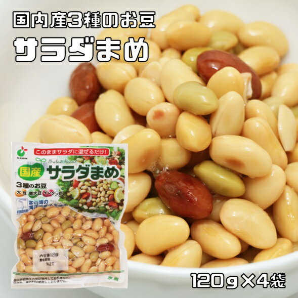 サラダまめ 120g×4袋 国産 (メール便)ミックス豆 大豆水煮 大豆 青大豆 インゲン豆 国内産 ヤマサン食品工業 サラダ豆 水煮野菜