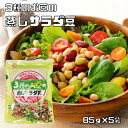 蒸しサラダ豆 85g×5袋 3種のお豆 ニチレト 国産 国内産 北海道産大豆使用 赤豌豆 青豌豆 日本レトルトフーズ 大豆水煮 蒸し豆