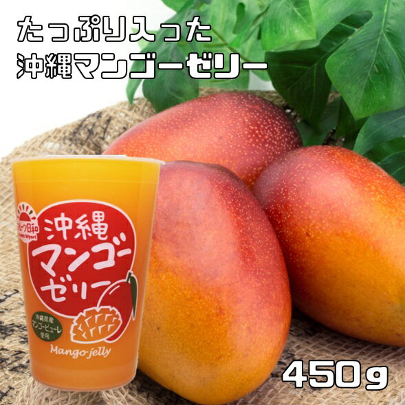 沖縄マンゴーゼリー 450g フルーツ日