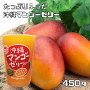 沖縄マンゴーゼリー 450g フルーツ日和 北海道物産 プチギフト スイーツ 国産 国内産 ビック ジャンボ デカゼリー たっぷり 徳用