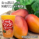 沖縄マンゴーゼリー 450g×12個 フルーツ日和 北海道物産 プチギフト スイーツ 国産 国内産 ビック ジャンボ デカゼリー たっぷり 徳用