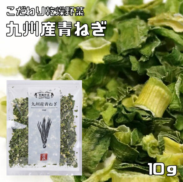 青ねぎ 10g 九州産 乾燥野菜 青葱 吉良食品 あおねぎ ドライ葱 干し野菜 国産 国内産 乾物 便利野菜 備蓄 非常食