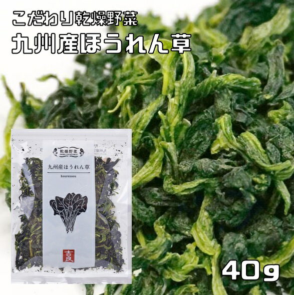奈良県産　小松菜　2kg　有機栽培　オーガニック　ORGANIC　コマツナ　こまつな　業務用　送料無料　冷蔵便　クール便　葉物野菜　葉もの　野菜