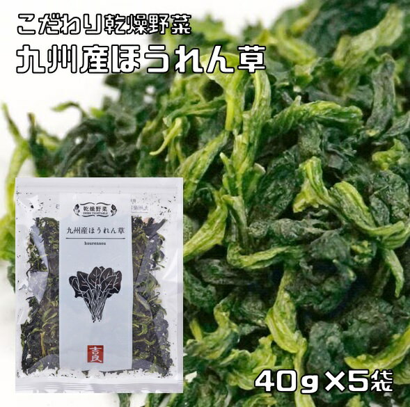 乾燥野菜 国産 ほうれん草 40g×5袋 九州産 吉良食品 ほうれんそう ドライ法蓮草 干し野菜 国内産 乾物 便利野菜 備蓄 非常食