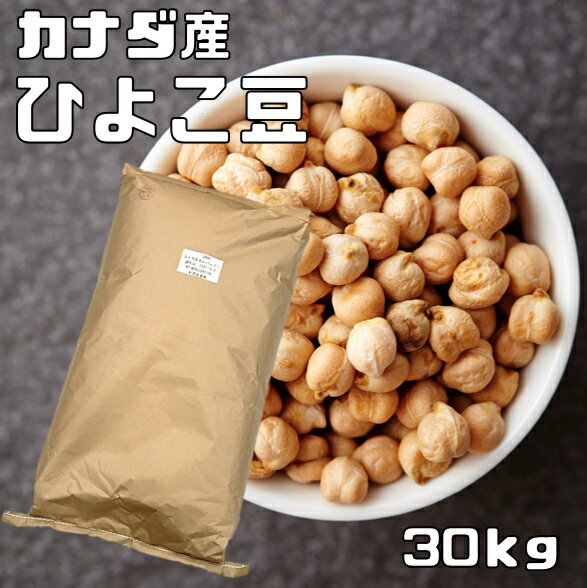 ひよこ豆 30kg 杉原産業 カナダ産 ひよこまめ ガルバンゾ 国内加工 乾燥豆 豆類 乾燥豆 サラダ豆 スープ 輸入豆