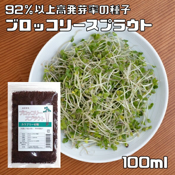 �֥��å��꡼���ץ饦�� ��� 100ml Ʀ�� ����֥꡼���� ���ͭ��� ��ȯ��Ψ Ķβ��ʬ�� �����ѡ��ա��� ����Ǵ�ñ ̵���Ǽ��