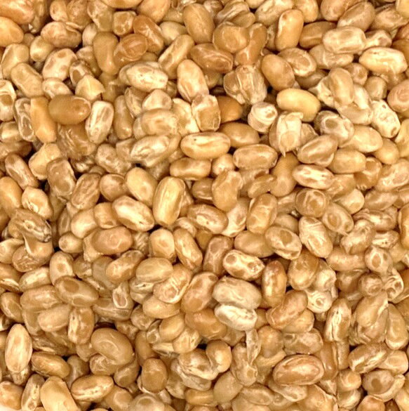 食べもんぢから。の蒸し白いんげん豆 1kg×3袋 北海道産大手亡豆使用 無糖 無添加 時短 ゆでまめ 簡単便利 業務用 国産 黒大豆 国内産 和菓子材料 徳用 おおてぼう 煮豆 豆類｜アングル2