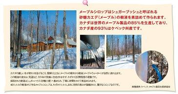 世界美食探究　カナダケベック州産　メープルシロップ　250g（189ml）【モンファボリ　ケーキシロップ　パンケーキ】