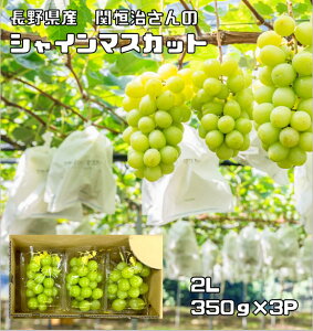 長野県産　シャインマスカット　約1050g（350g×3パック）　【宅配便送料無料】【農場直送品】　2L 生産者限定 信州産 数量限定 期間限定 生鮮品 果物 ぶどう フルーツ マル関農園 露地 慣行栽培