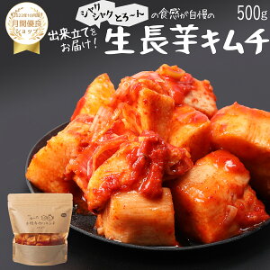 【赤坂食べ門】＼楽天1位／本場 長芋キムチ 500g『1日数量限定』＜出来立てのキムチだから食感が全然違う＞ 生キムチ キムチ 本格キムチ 韓国キムチ 韓国食品 韓国 お取り寄せ お取り寄せグルメ 韓国グルメ 自家製 国産 詰め合わせ 惣菜セット キムチセット 山芋キムチ