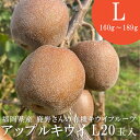 福岡県産 アップルキウイ Lサイズ 20