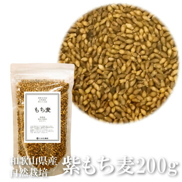 送料無料 もち麦 玄麦 200g 紫もち麦 皮付き 和歌山県産 無農薬 無化学肥料 無除草剤 天日干し 自然農法 自然栽培 国産 国産雑穀米 国内産原料100% 原種 もちむぎ モチムギ 大麦 熊野本宮 紀州熊野 βグルカン 健康 美容 ダイエット ポイント消化【単品配送商品|同梱不可】