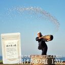 送料無料 天然塩 奥能登珠洲 揚げ浜の塩 120g 石川県産 珠洲 天然海塩 粗塩 天日 自然乾燥 揚げ浜式製塩法 伝統製法 国産 ミネラル豊富 テレビ番組で話題の商品 ポイント消化 【単品配送商品｜宅配便との同梱不可】