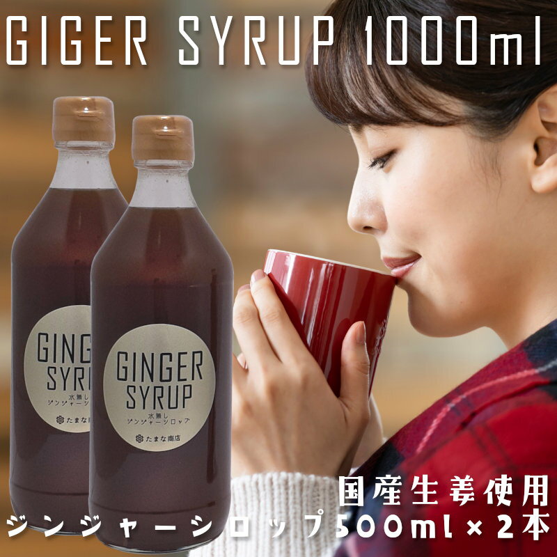 水無しジンジャーシロップ 500ml 2本セット 生姜シロップ 濃い口 濃厚タイプ クラフトシロップ 原液 5倍希釈タイプ 無添加 添加物不使用 てんさい糖 生姜（国産しょうが） 天然素材 ギルトフリー お土産 手土産 プレゼント ギフト 贈り物 一部の地域を除き送料無料