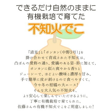 不知火でこ 3kg オーガニック 有機JAS 転換期間中含む サイズ混合 佐賀県産 無農薬 無除草剤 無化学肥料 有機栽培 自然栽培 草生栽培 草倒し農法 佐藤農場 佐藤さんの有機でこぽん 産地直送 デコポン みかん オレンジ 柑橘 贈答 ギフト 一部地域を除き送料無料 【同梱不可】