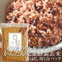 送料無料 かんたん発芽酵素玄米 3合 450g お試し用 約6食分【発芽玄米 小豆 天然塩をセットし ...