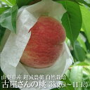 産地直送 【桃】 古屋さんの桃 もも 約3kg 8〜12玉 山梨県産 山梨の桃 白鳳 白桃 超減農薬 無化学肥料 無除草剤 自然栽培 フルヤ農園 はなよめ ちよ...