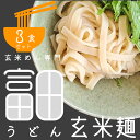 【5袋セット】ヒップロン ライスヌードル ブン bun 1mm 500g 米粉麺 グルテンフリー 麺 フォー ベトナム料理 食材 まとめ買い LaMi ラミ