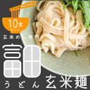 富田うどんの玄米麺 10食入（1食120g）玄米めん 米粉麺 米粉めん ライスヌードル グルテンフリーヌードル ノングルテン アレルギーフリー 小麦粉不使用 ピロール米 那智のめぐみ 国産玄米 和歌山県産 国産馬鈴薯でんぷん使用 たまな食堂御用達