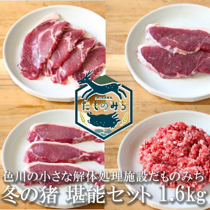激安ブランド 和歌山産 ジビエ 猪肉セット 約1 6kg 4種類各400g イノシシ肉 紀州 那智勝浦 色川 だものみち 肩ロース ステーキ ロース ステーキ モモ肉 スライス ミンチ 国産 紀州産 ステーキ 焼き肉 焼肉 しゃぶしゃぶ ぼたん鍋 お取り寄せ クール冷凍便 お歳暮 Www