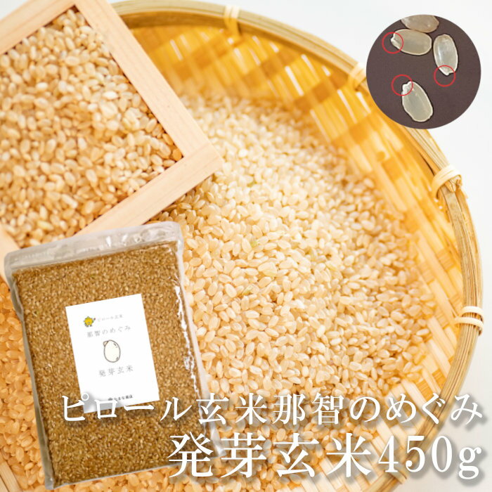 送料無料 発芽玄米 那智のめぐみ 450g 3合 和歌山県産 残留農薬未検出 ピロール玄米使用 国産 発芽米 胚芽米 無洗米 ピロール農法 弱アルカリ性 低アレ...