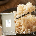 商品画像3