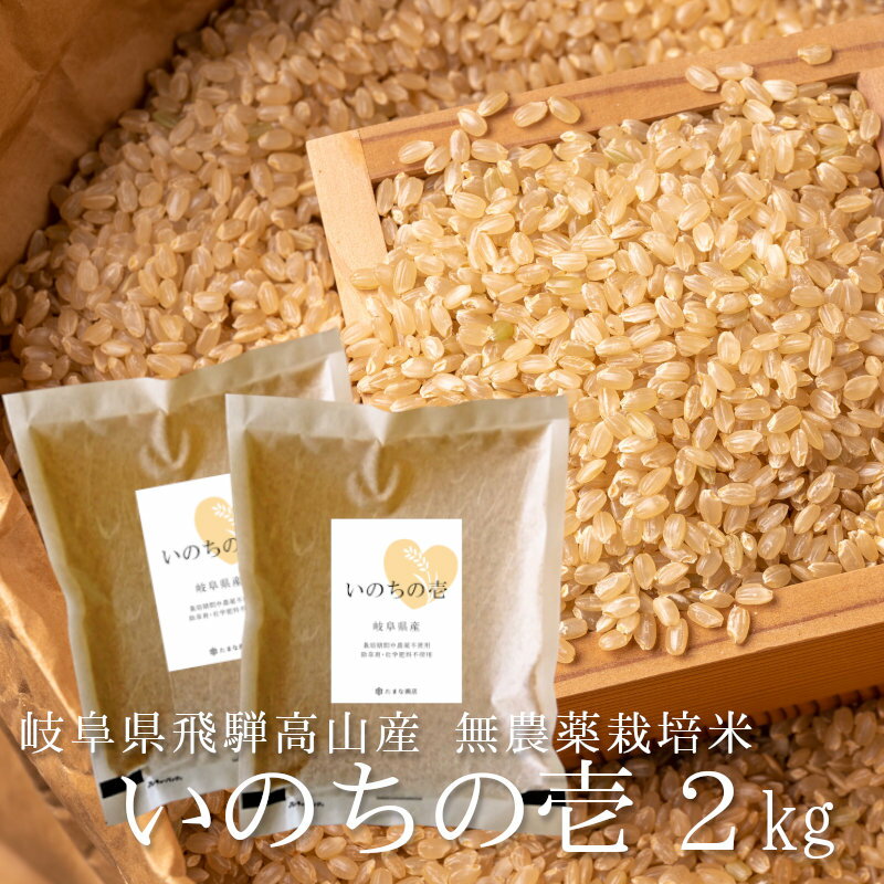 玄米 いのちの壱 2kg（1