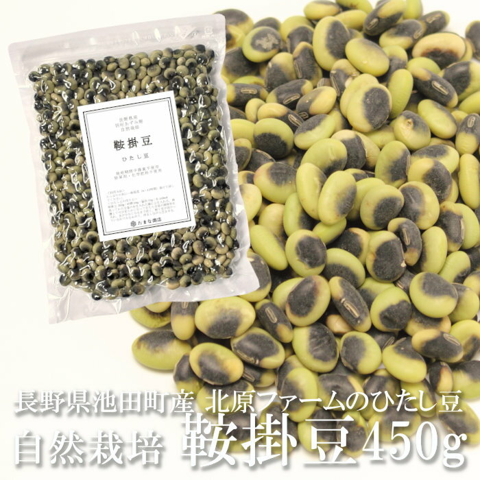 送料無料 鞍掛豆 くらかけ豆 450g 乾燥 まめ 長野県産 ひたし豆 北原ファーム 栽培期間中農薬不使用 無農薬 無化学肥料 自然農法 自然栽培 国産 マメ 青大豆 パンダ豆 海苔豆 のり豆 雑穀 豆ごはん 健康 ポイント消化 【単品配送商品｜宅配便と同梱不可】