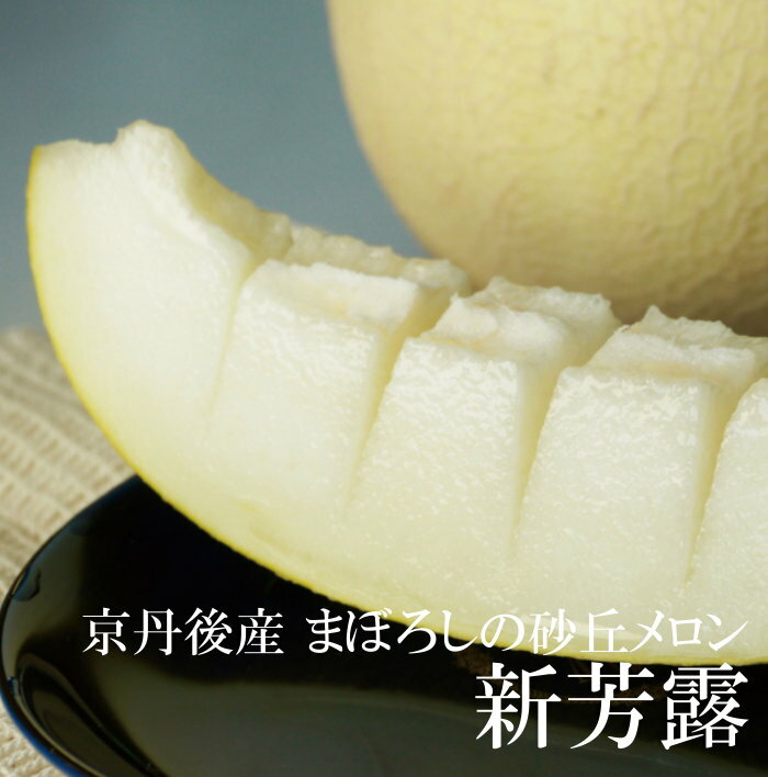 産地直送 メロン 新芳露 的場さんのまぼろしの砂丘メロン 京丹後産 京都 露地メロン 原種メロン 幻のメロン しんほうろ 的場農場 減農..