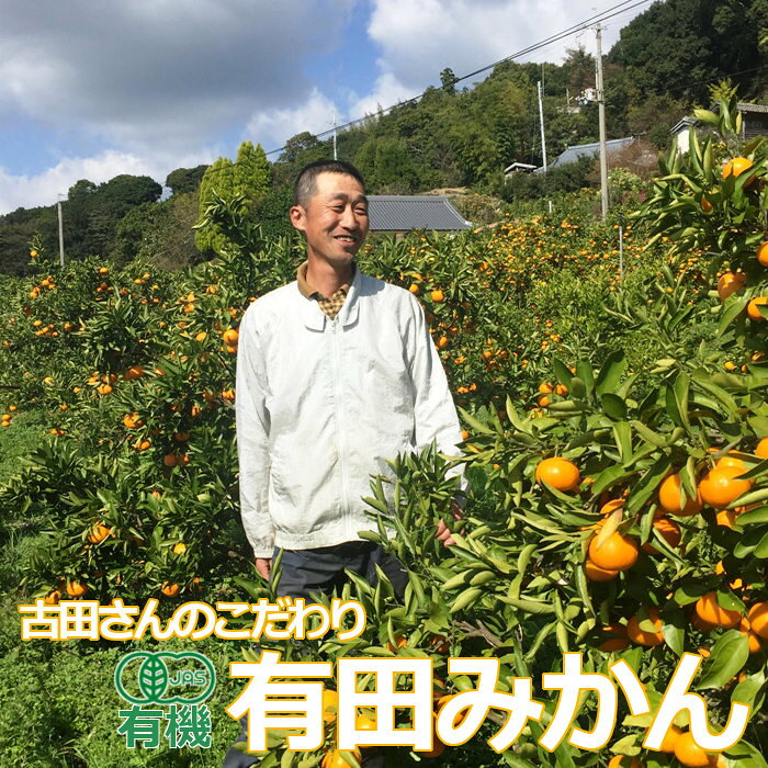 産地直送 オーガニック有田みかん 3kg サイズ混合 古田さんのこだわり有機有田みかん 温州みかん 有機JAS ORGNIC 無農薬 無除草剤 無化学肥料 自然栽培 EM農法 和歌山県産 紀州産 ミカン オレンジ フルーツ 果物 お取り寄せ 歳暮 贈答 ギフト お供え 一部地域を除き送料無料 tabemono-shop-10000161 酵素玄米と自然食の店 たまな商店 サンプル画像2