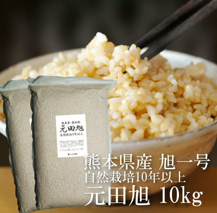 玄米 旭一号 10kg（5kg×2）元田旭 自然栽培10年以