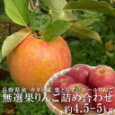 長野県産 【葉とらず】りんご 無選果 詰め合わせ 約4.5~5kg サイズ混合 利根川さんのこだわりピロールりんご ピロール農法 除草剤不使用 化学肥料不使用 信州 小布施 カネト園 リンゴ 林檎 フルーツ 果物 産地直送 お取り寄せ 歳暮 ギフト お供え 一部地域を除き送料無料