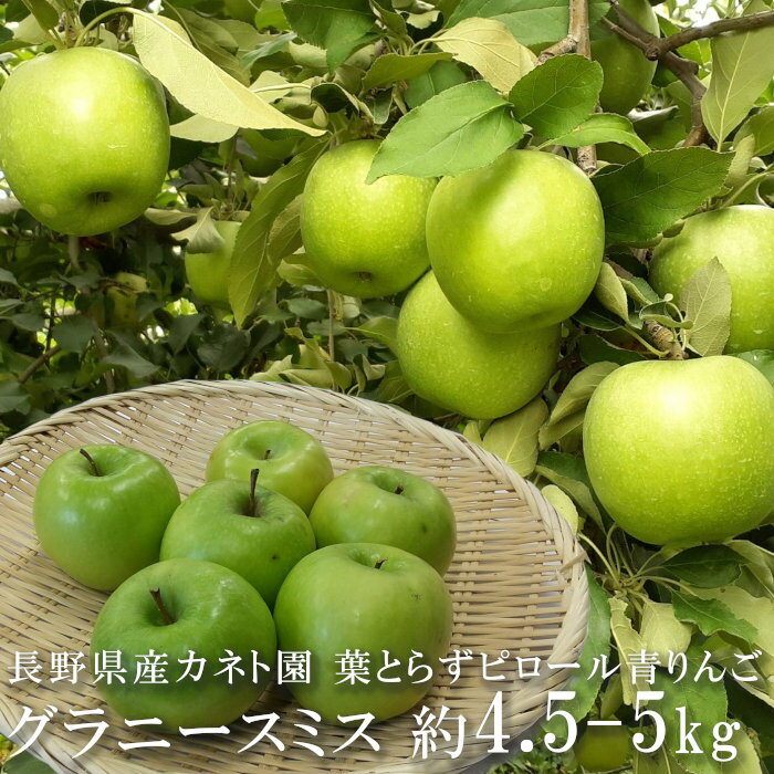 長野県産 【葉とらず】青りんご グラニースミス 約4.5～5kg サイズ混合 利根川さんのこだわりピロールりんご ピロール農法 除草剤不使用 化学肥料不使用 信州 小布施 カネト園 リンゴ 林檎 フルーツ 果物 産地直送 お取り寄せ 調理用 菓子用 一部地域を除き送料無料のサムネイル