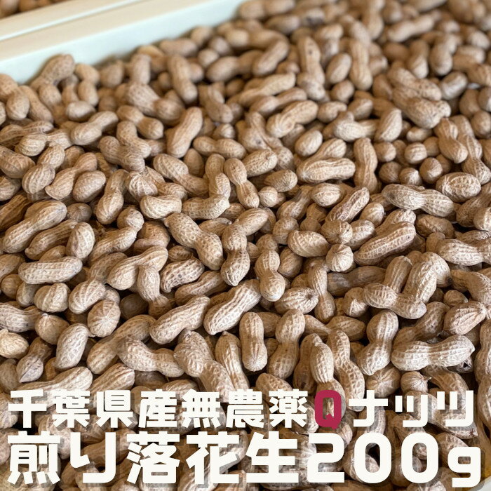 送料無料 煎り落花生 殻付落花生 200g 千葉県産 Qナッツ キューナッツ 令和5年 新豆使用 殻つき 国産 ..