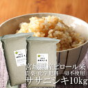 ササニシキ 玄米 10kg（